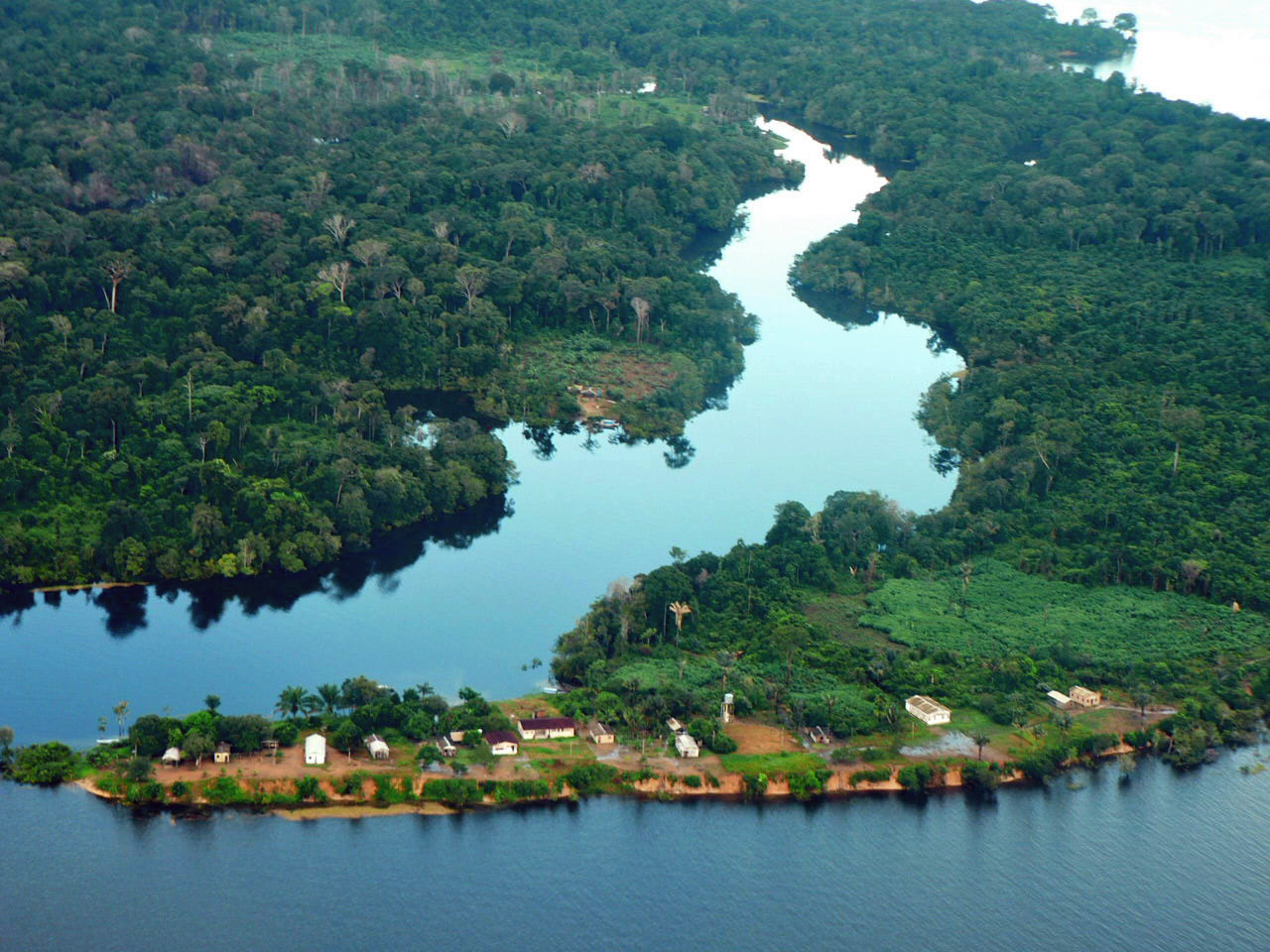 Denis Minev: Procuram-se empreendedores de visão para a Amazônia