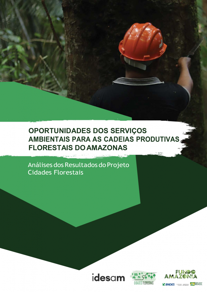 Oportunidades dos Serviços Ambientais para as cadeias produtivas florestais do Amazonas