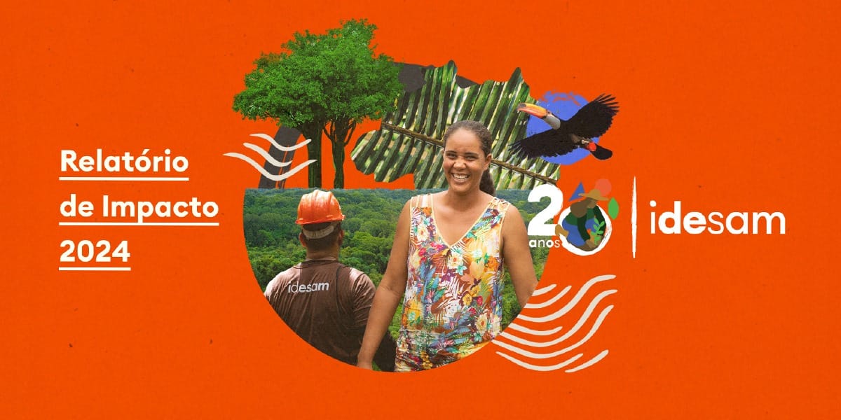 capa relatório de impacto idesam 2024