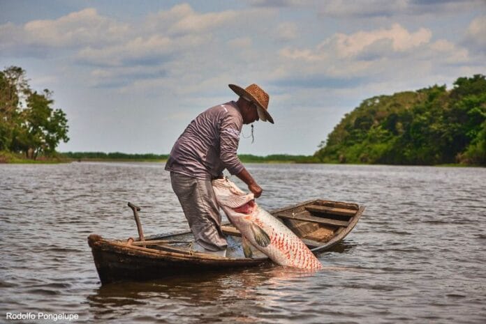 Foto de Rodolfo Pongelupe